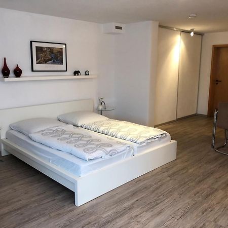Ferienwohnung Riesterer Freiburg im Breisgau Exteriér fotografie